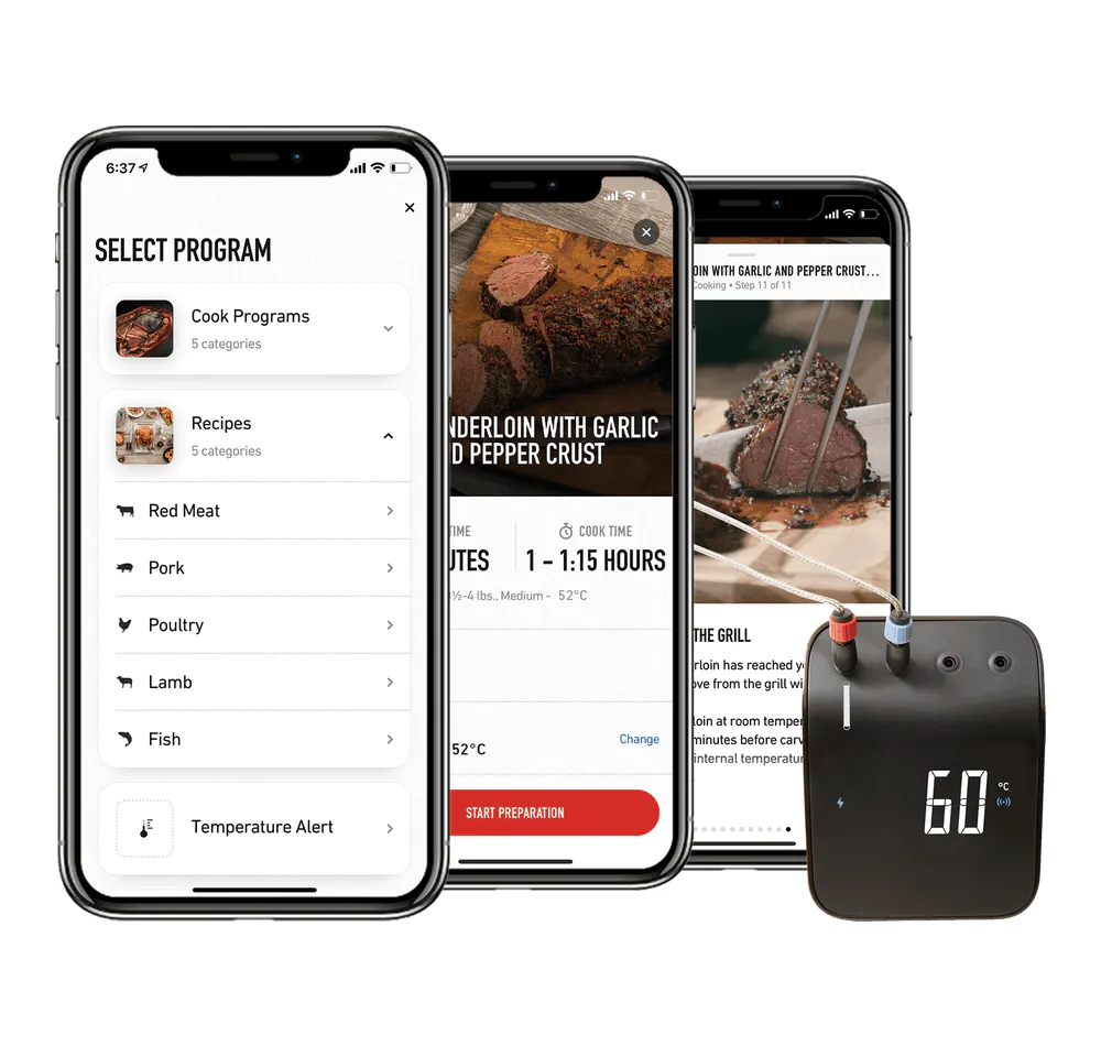 Connect Smart Grilling Hub